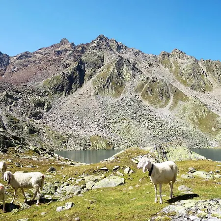 Διαμέρισμα Rosi By Interhome Ζόλντεν