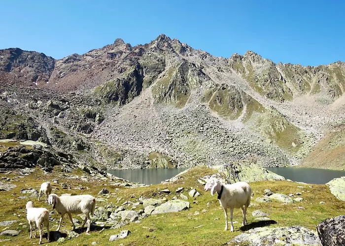 아파트 Rosi By Interhome 솔덴